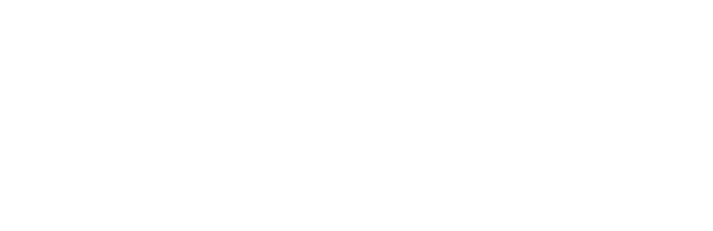 Credit card logo
